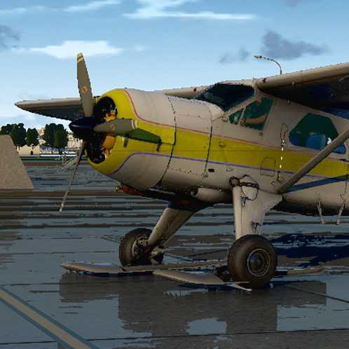 Thranda Beaver parked in an airport.