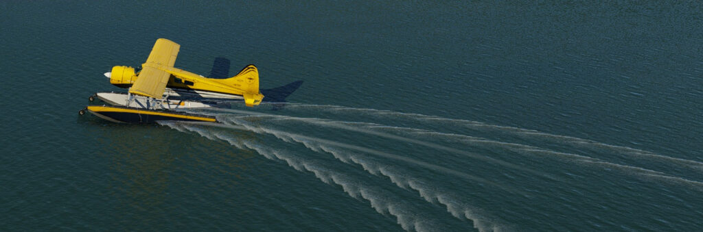 Beaver taxiing on water